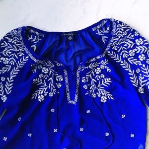Blue Semi- Sheer Embroidered Blouse